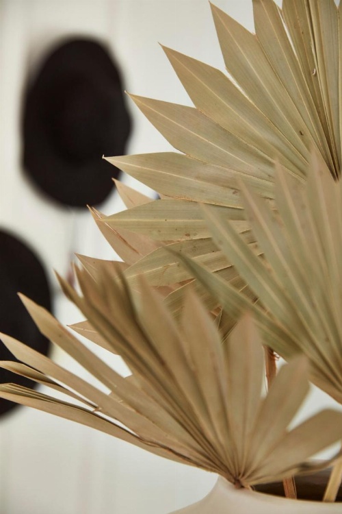 San Luis Creek Lodge image 12